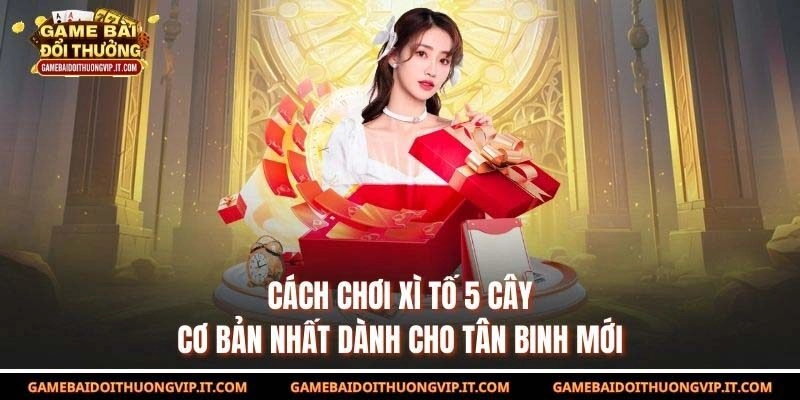 Cách Chơi Xì Tố 5 Cây Cơ Bản Nhất Dành Cho Tân Binh Mới